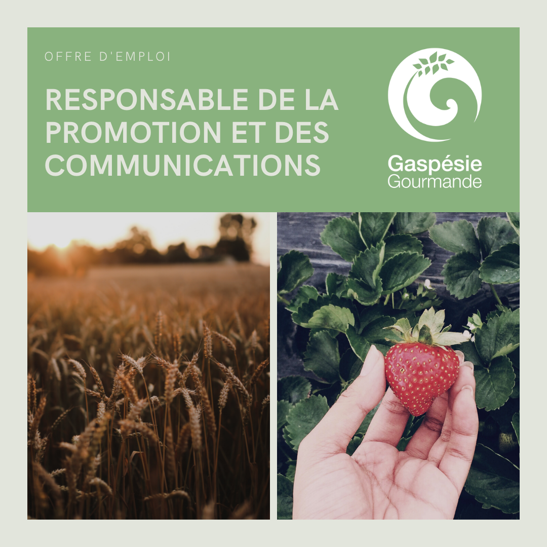 Offre d'emploi - Responsable de la promotion et des communications Offre d'emploi - Responsable de la promotion et des communications